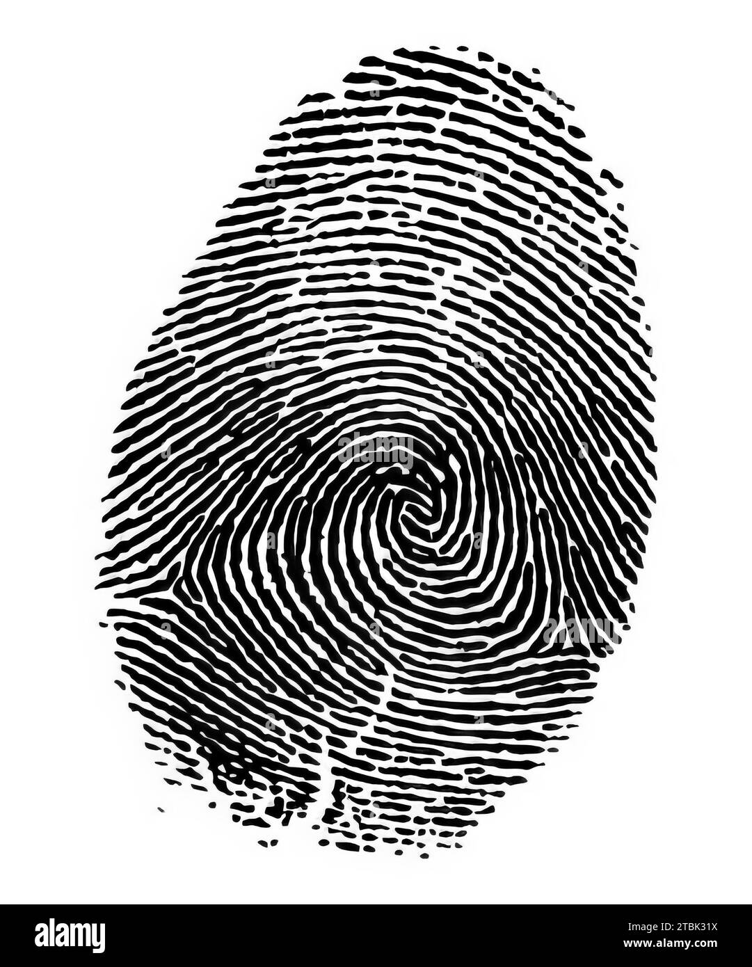 Concetto di verifica dell'identità delle impronte digitali, background di ricerca biometrica criminale Foto Stock