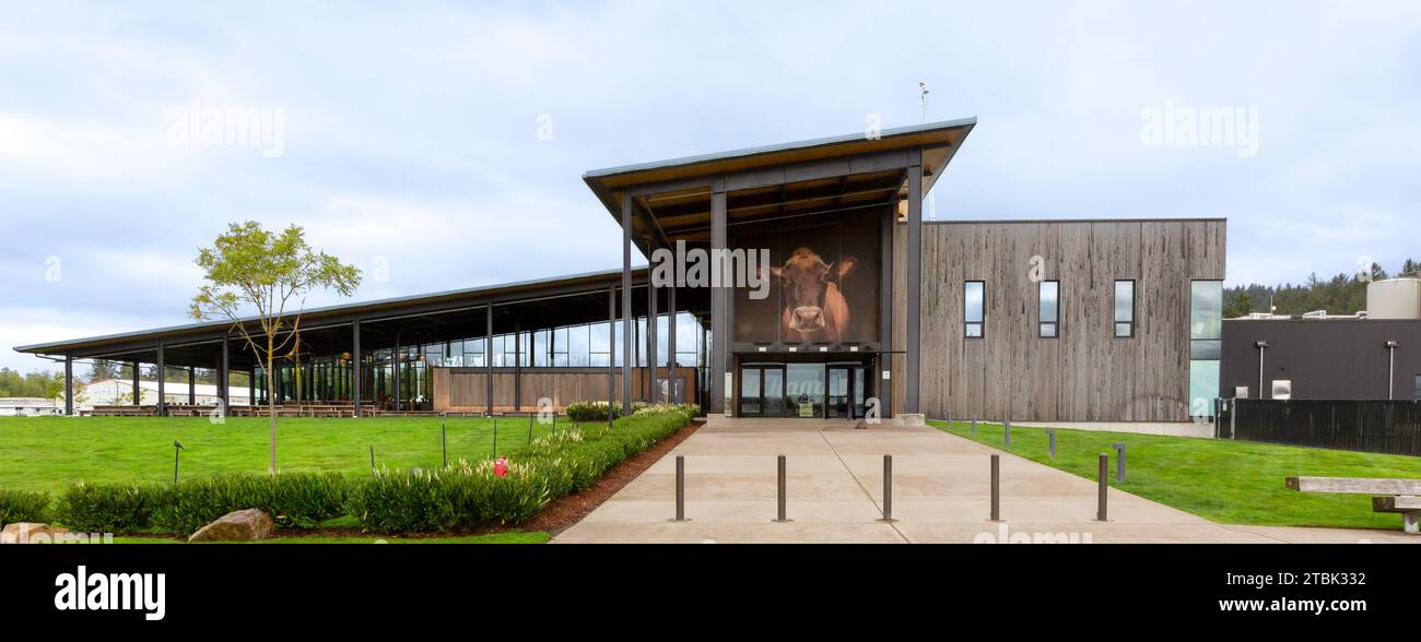La fabbrica di formaggio Tillamook e il centro visitatori di Tillamook, Oregon - Una foto ritratto di Flower la mucca diaria si trova sopra l'ingresso dell'edificio. Foto Stock