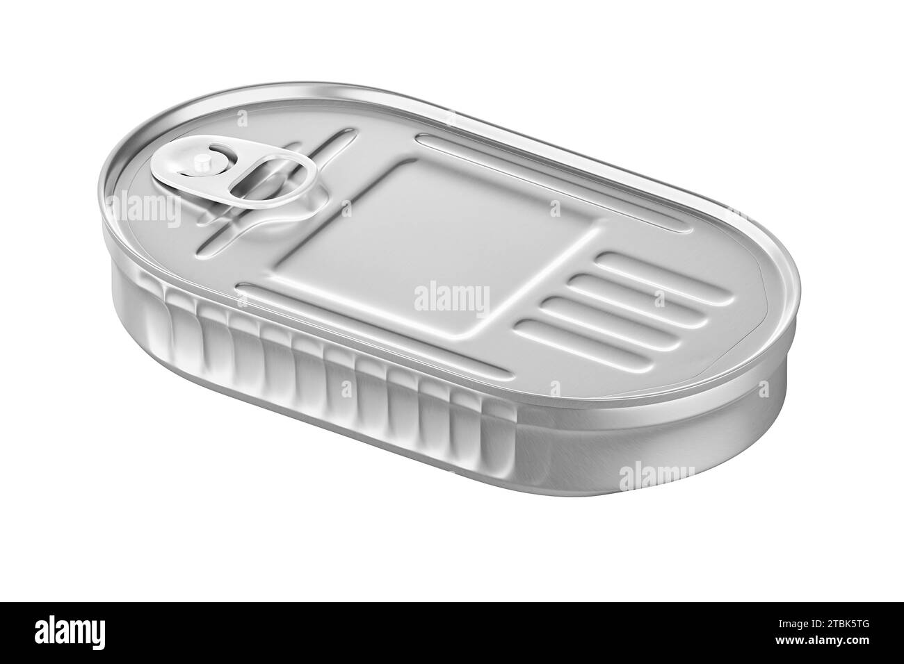 Lattina per il nuovo design con testo, rendering 3D, template, vista di pesci inscatolati in contenitore ovale argentato closeup, isolato su sfondo bianco Foto Stock