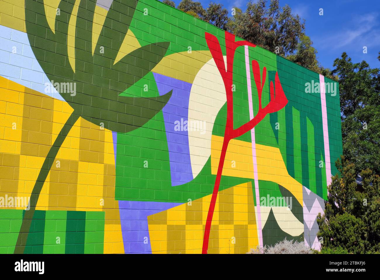 Perth: Colorato murale di Street art Collins Street Centre, Shaftesbury Street, South Perth, Perth, Western Australia Foto Stock