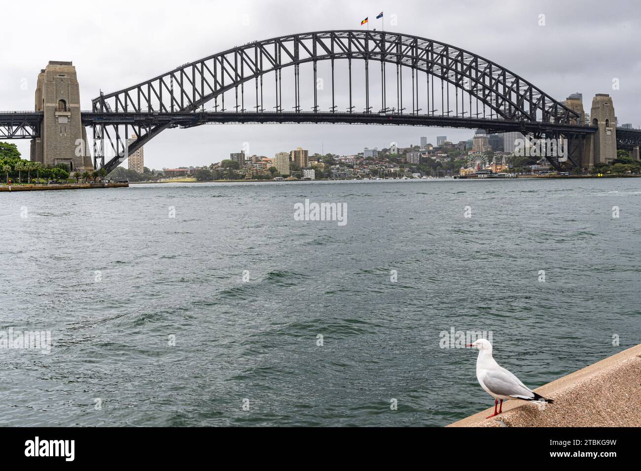 Sydney Harbor Bridge da accanto al porto di Sydney Foto Stock