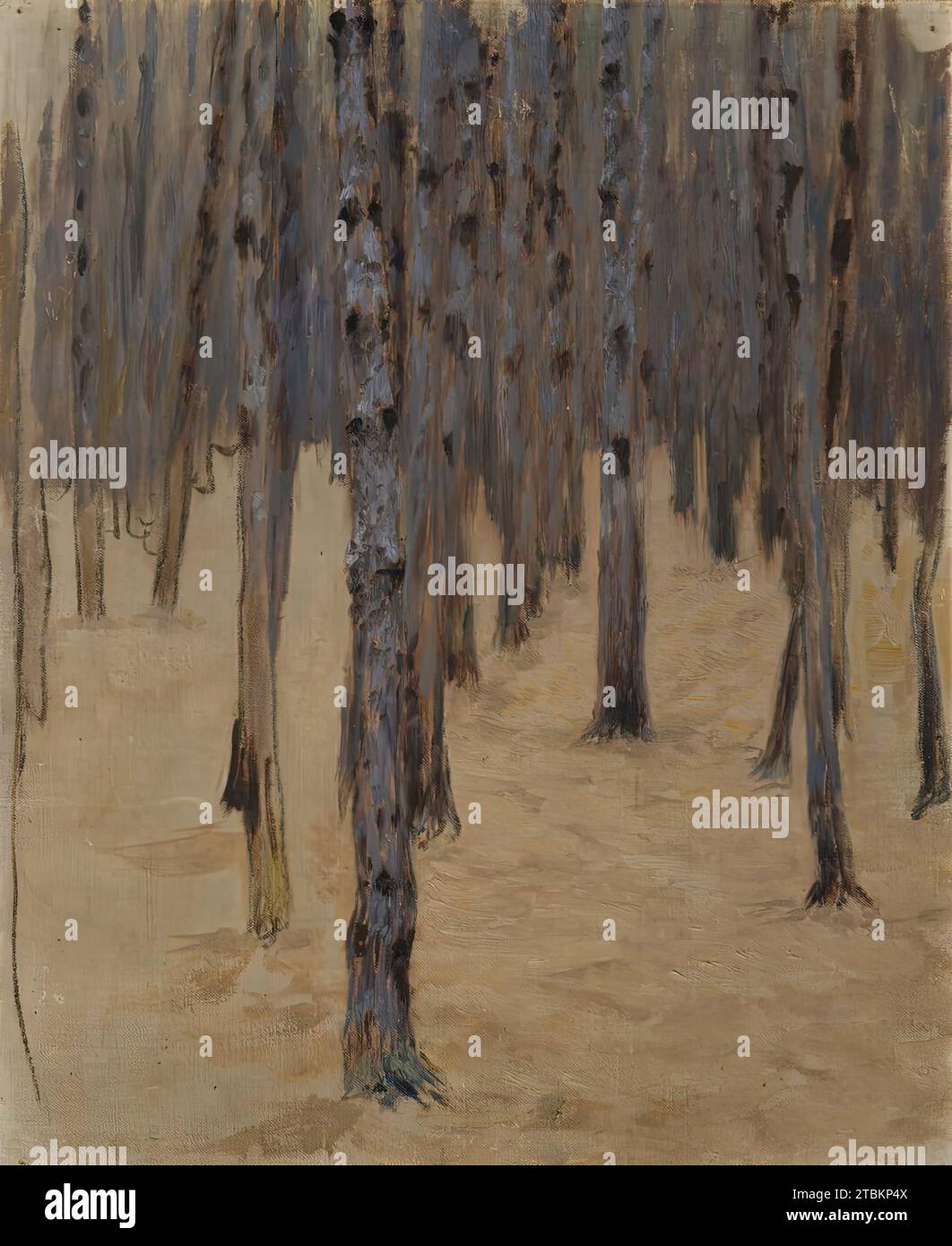 Foresta di conifere nella neve, 1908. Foto Stock