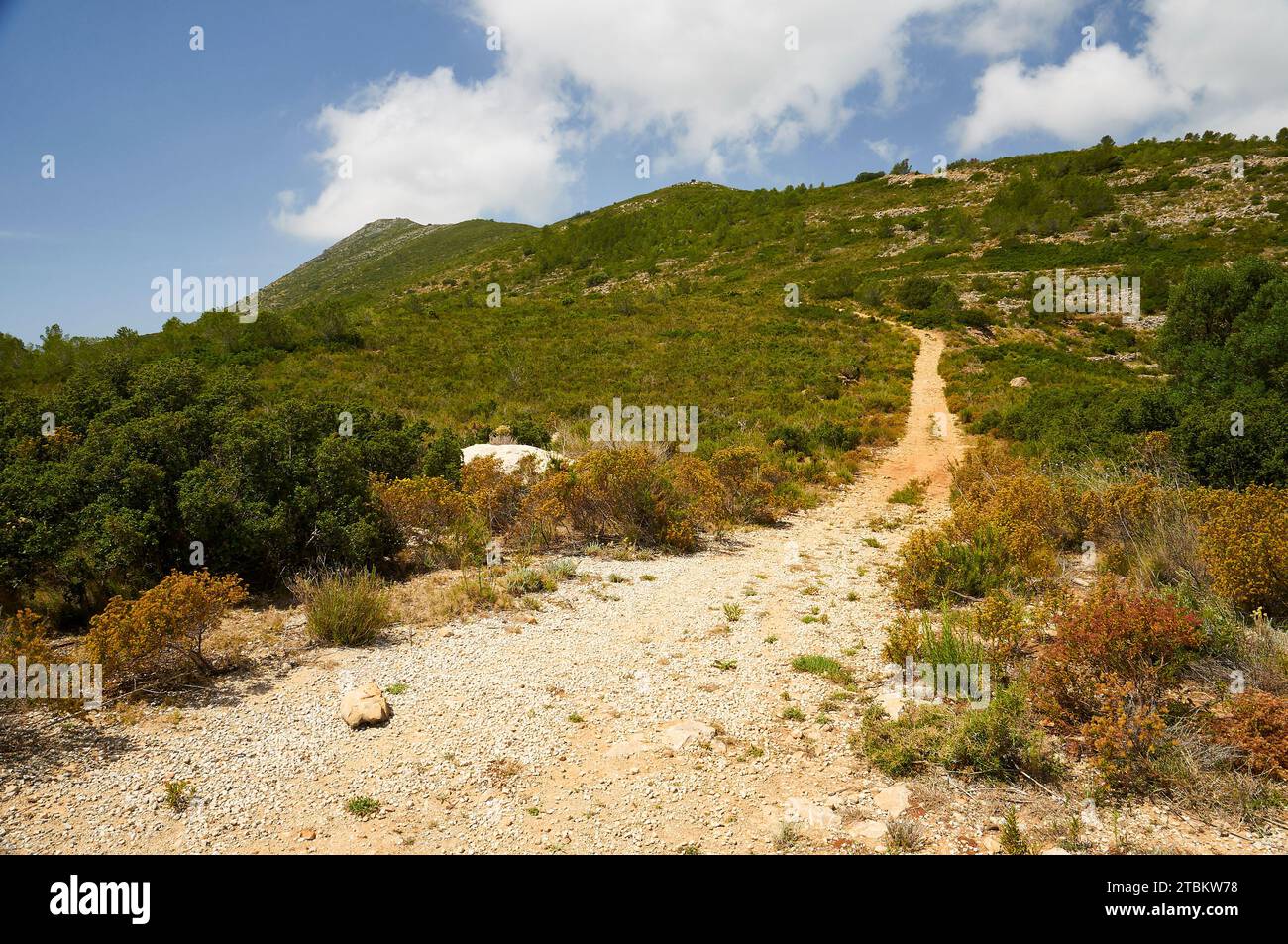 Strada sporca nel paesaggio mediterraneo di macchia mediterranea nella catena montuosa di Lloma Llarga (Llíber, Vall de Pop Valley, Marina alta, Alicante, Spagna) Foto Stock