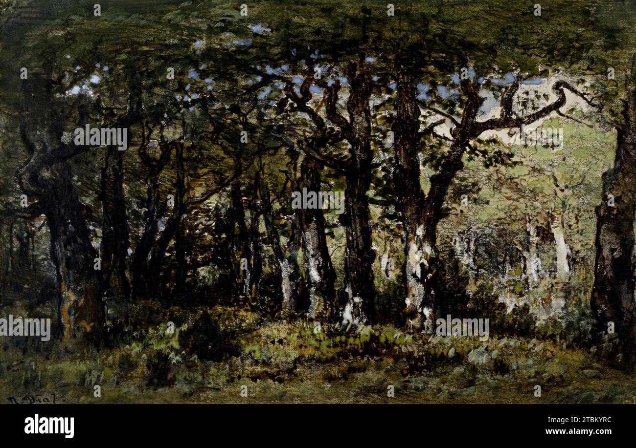 Edge of the Forest, c1860-1870. Un gruppo di alberi sovrastanti nella foresta con un'apertura leggera a destra. Diaz rappresentava spesso luoghi specifici, come l'antico legno di Bas BR&#xe9;au o il Vall&#xe9;e de la Solle, ma questo sito non può ancora essere identificato con certezza e può essere uno dei punti di vista più generici di Diaz. Foto Stock