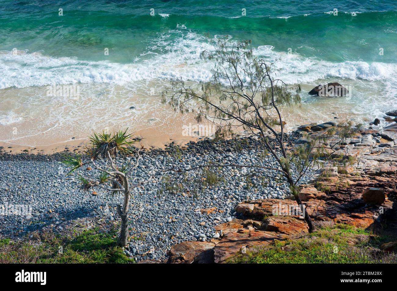 Passeggiata costiera a Noosa Head, vacanza, viaggio, costa, oceano, mare, costa orientale, Queensland, Australia Foto Stock