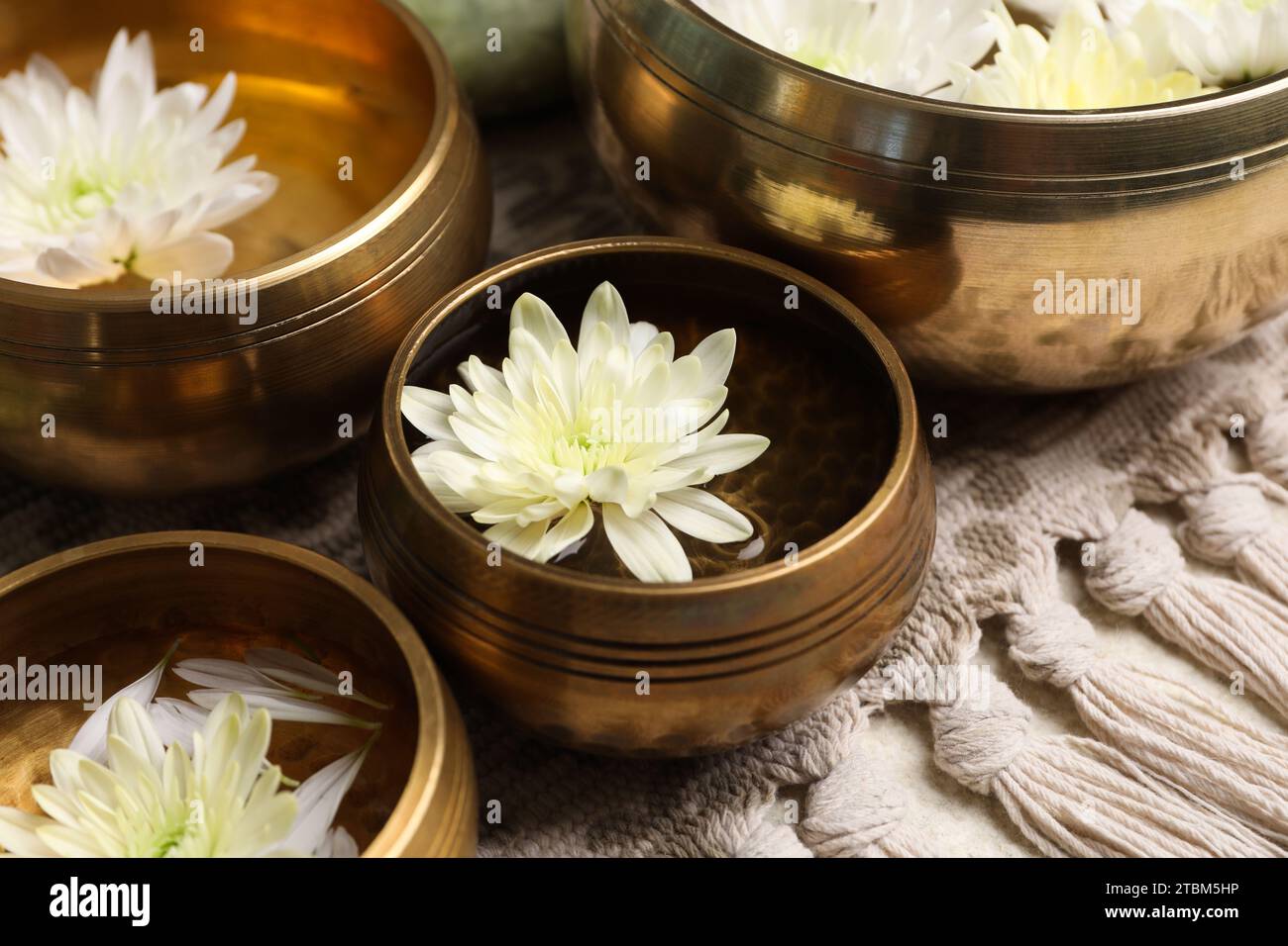 Ciotole tibetane con acqua e splendidi fiori di crisantemo sul tavolo, primo piano Foto Stock