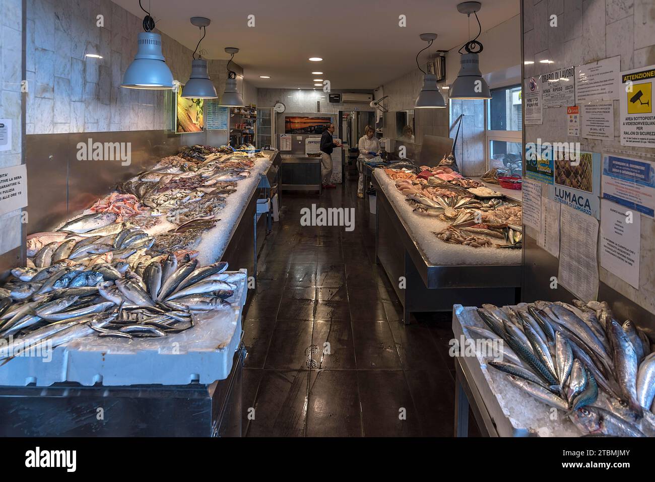 Negozio di pesce nei vecchi portici del porto, Genova, Italia Foto Stock