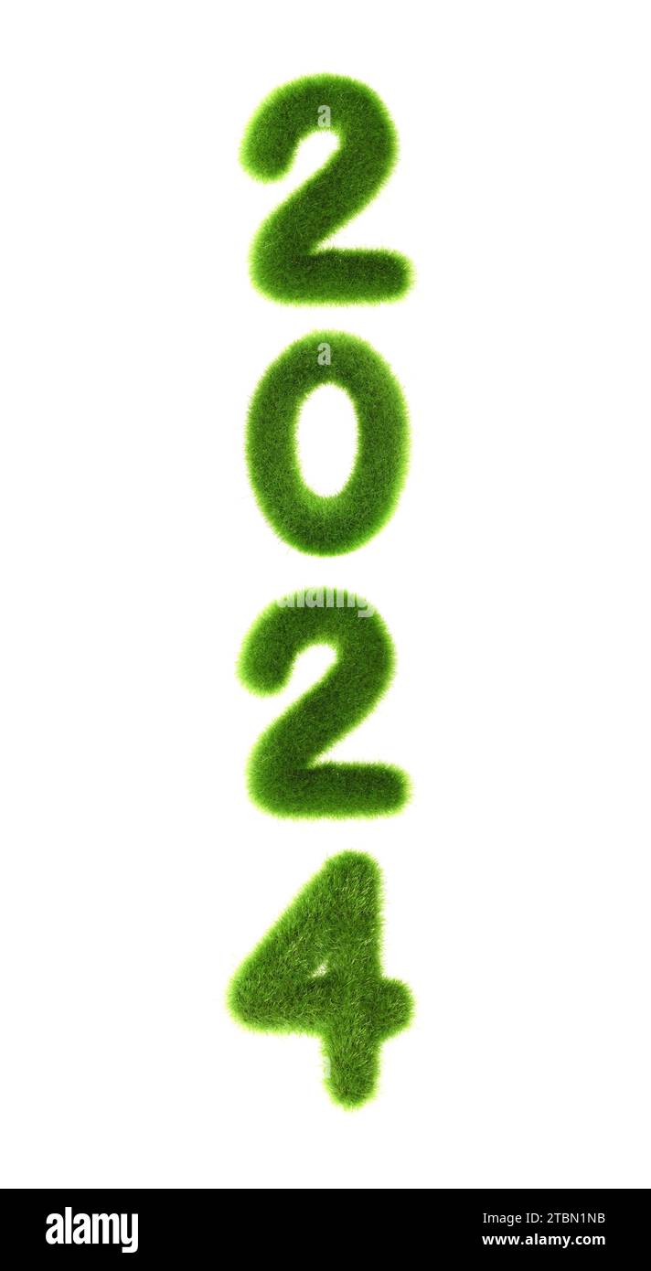 2024 concetto di capodanno erboso isolato su sfondo bianco Foto Stock