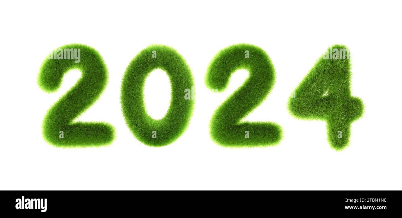 2024 concetto di capodanno erboso isolato su sfondo bianco Foto Stock