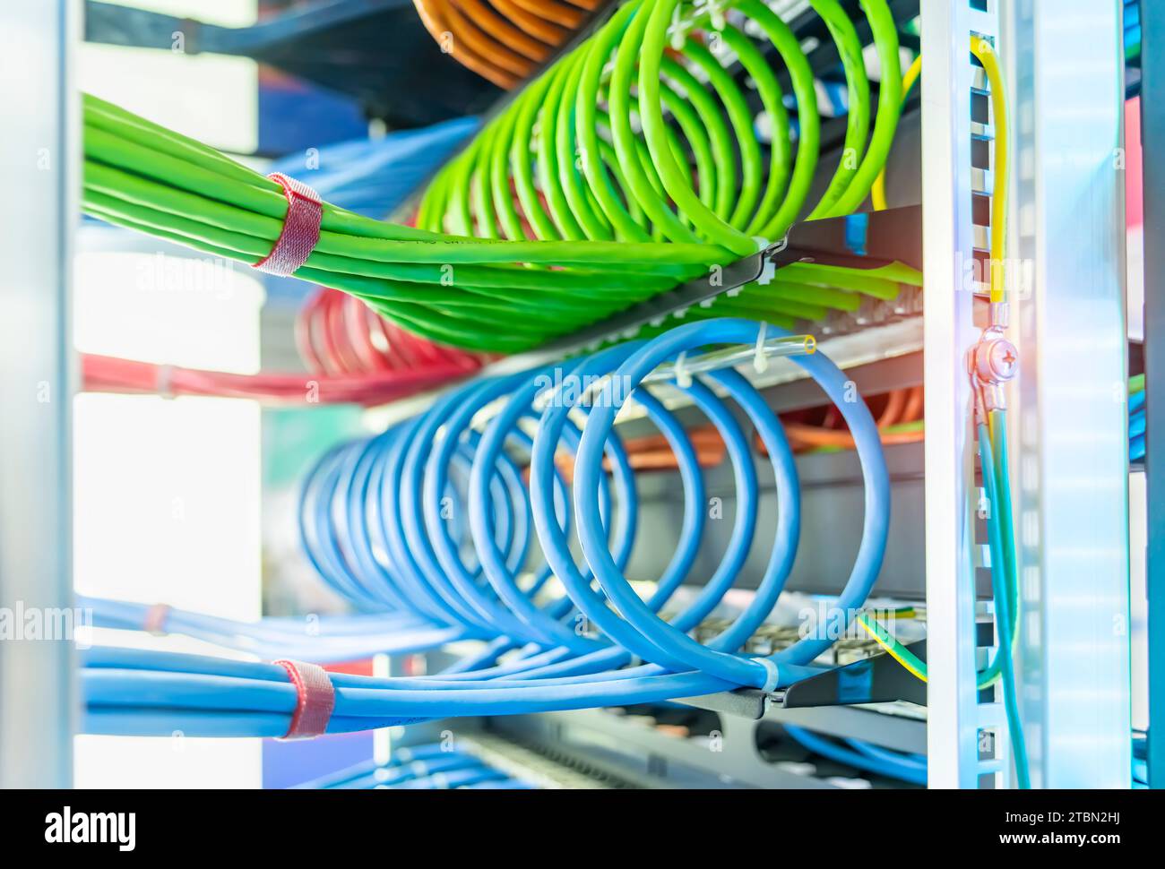 Pannello di rete, switch e cavo colorato nel data center Foto Stock
