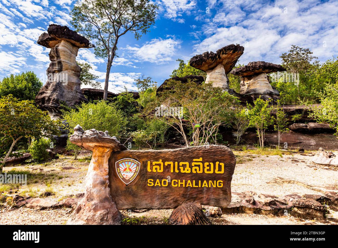 Parco nazionale PHA Taem, rocce erose di funghi "Sao Chaliang", sito di dipinti rupestri, Ubon Ratchathani, Isan, Thailandia, sud-est asiatico, Asia Foto Stock