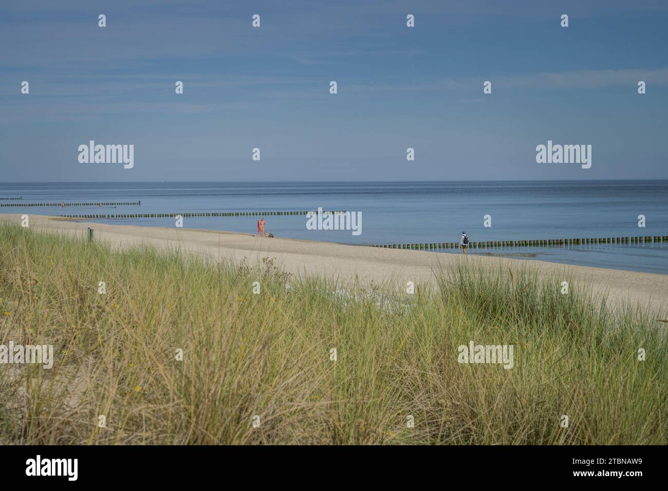 Leerer Strand, FKK-Strand westlich von Bansin, Usedom, Meclemburgo-Vorpommern, Deutschland Foto Stock