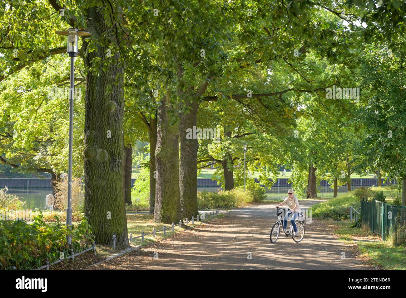 Spreepromenade, Spree, Fürstenwalde, Landkreis Oder-Spree, Brandeburgo, Deutschland Foto Stock