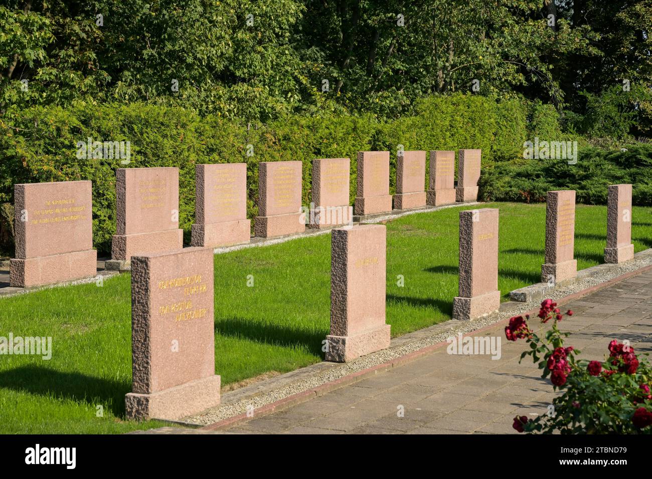 Grabsteine, Gedenkstätte Seelower Höhen, Seelow, Landkreis Märkisch-Oderland, Brandeburgo, Deutschland Foto Stock