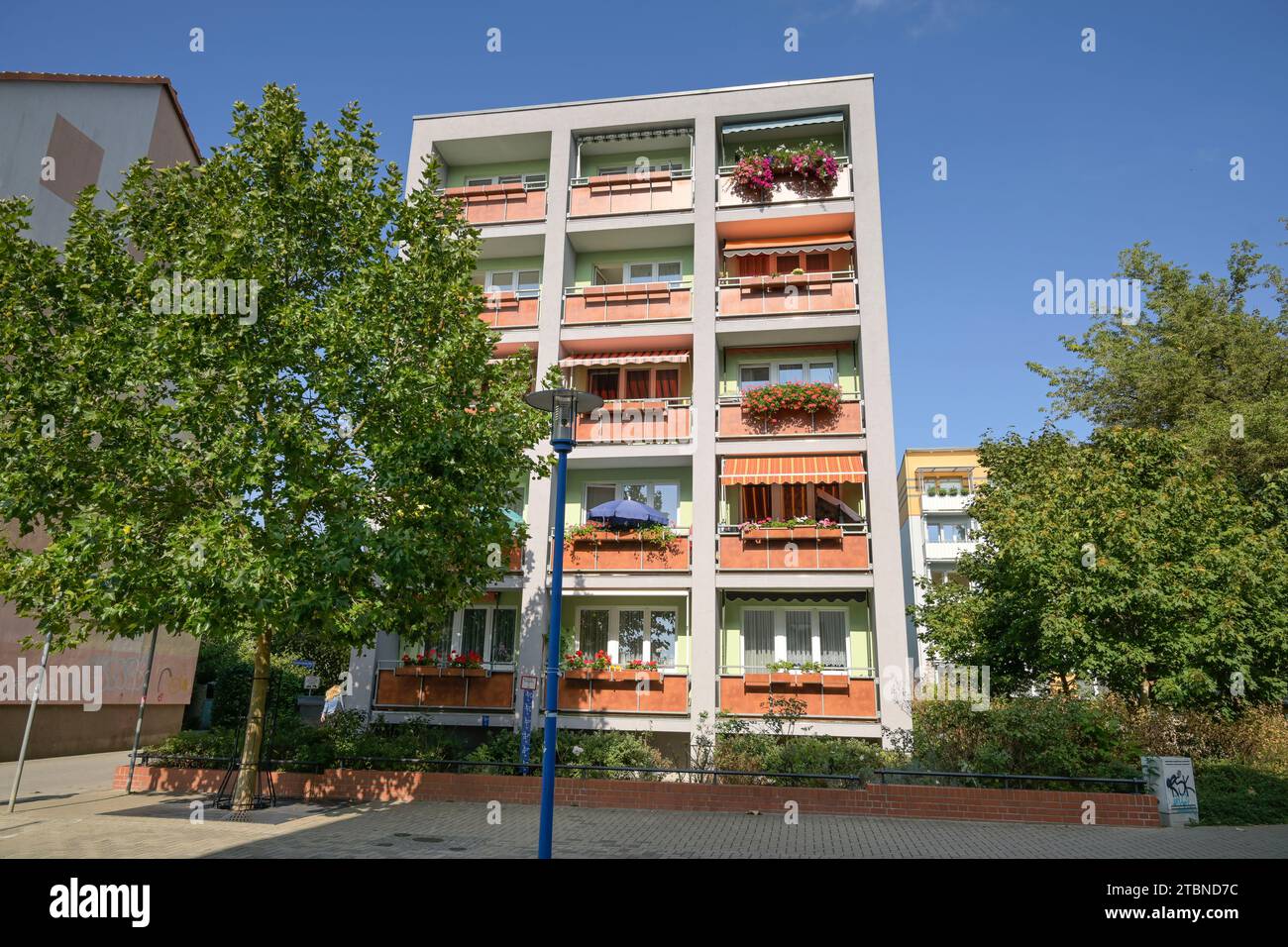 Plattenbauten, Reinheimer Straße, Fürstenwalde, Landkreis Oder-Spree, Brandeburgo, Deutschland Foto Stock