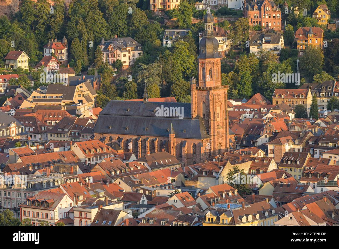 Heiliggeistkirche, Heidelberg, Baden-Württemberg, Deutschland Foto Stock