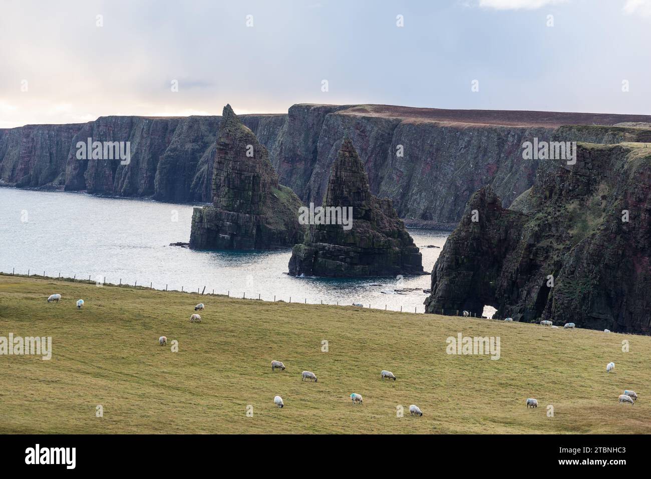 Pile di Duncansby, osservatorio e allevamento di uccelli, stagni vicino a Duncansby Head, John o'Groats, Caithness, Scozia, Regno Unito Foto Stock