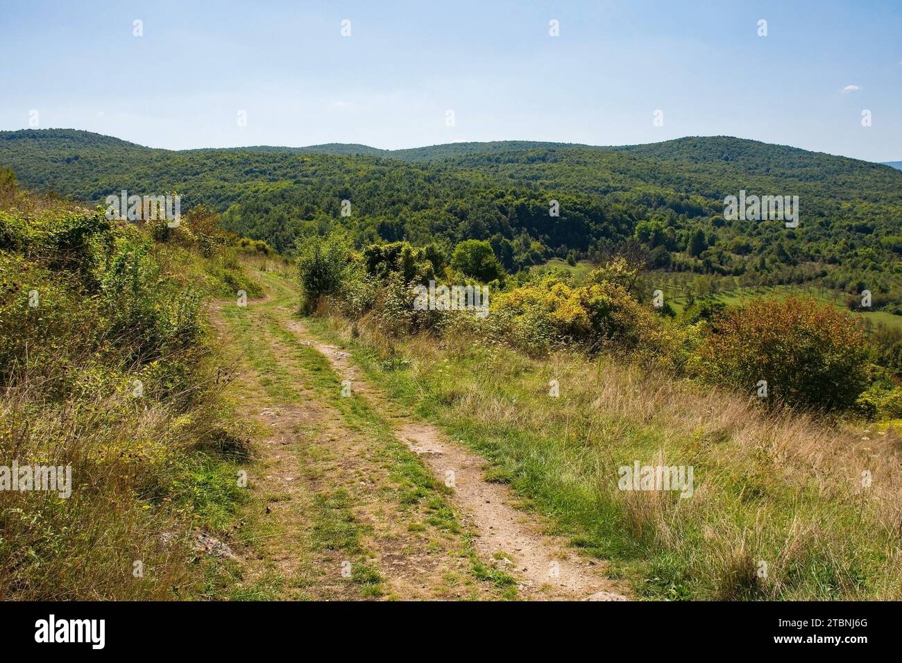 Il paesaggio estivo intorno al Castello di Ostrovica si affaccia sul villaggio di Kulen Vakuf nel Parco Nazionale di una. Una-sana Canton, Federazione di Bosnia ed Erzegovina Foto Stock