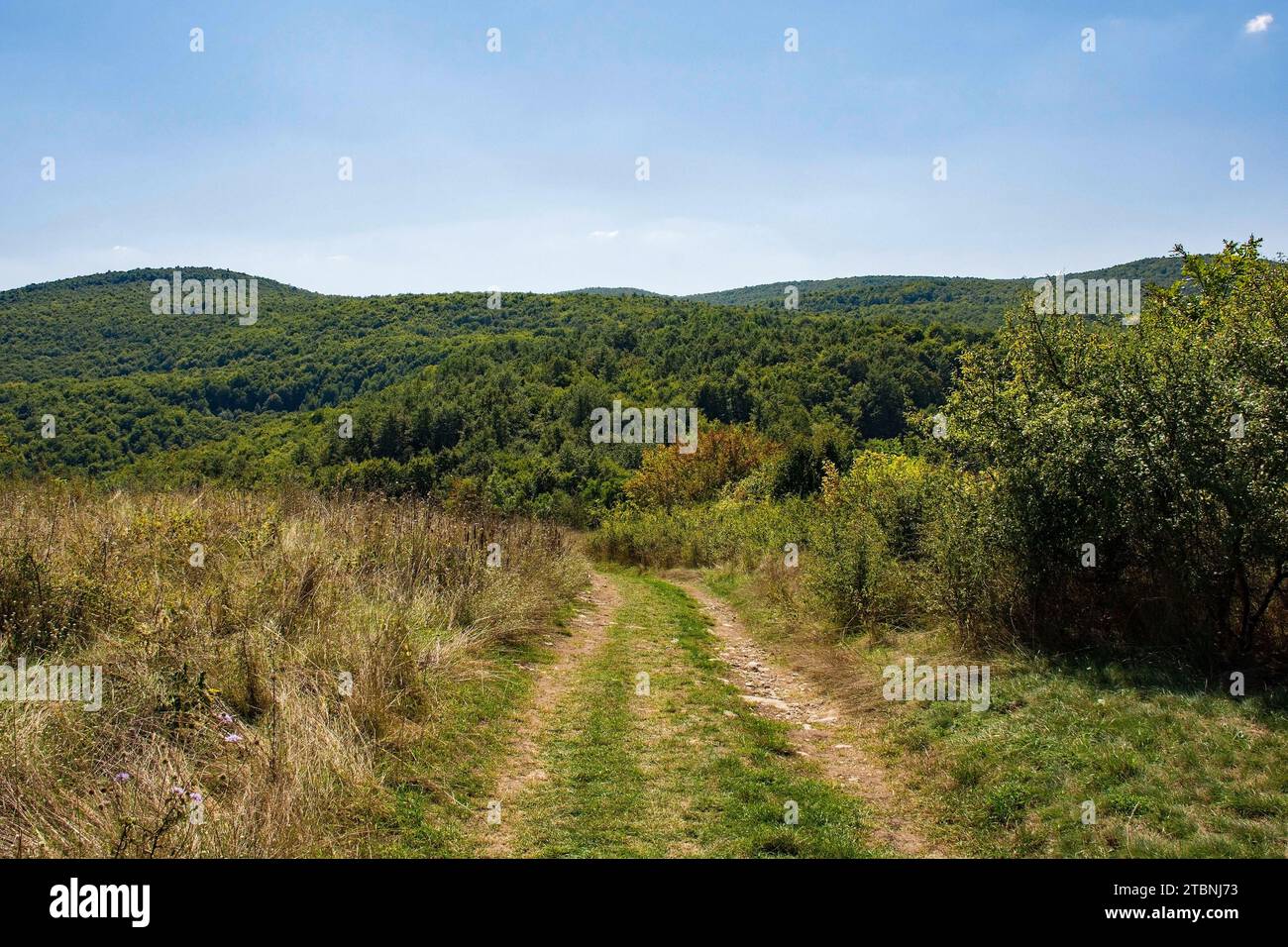 Il paesaggio estivo intorno al Castello di Ostrovica si affaccia sul villaggio di Kulen Vakuf nel Parco Nazionale di una. Una-sana Canton, Bosnia. Inizio settembre Foto Stock