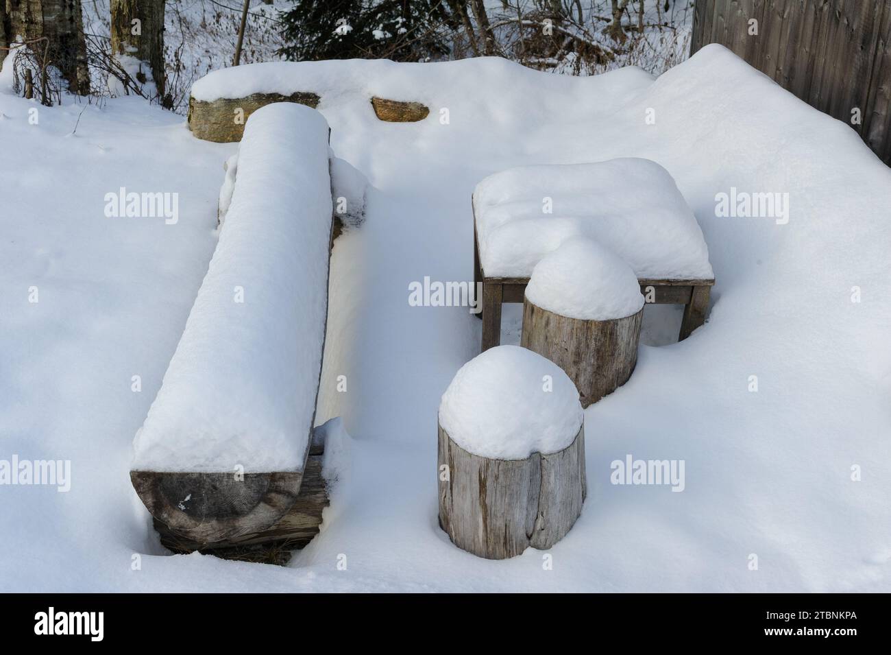 Una panca coperta di neve e un tavolo nel bosco Foto Stock
