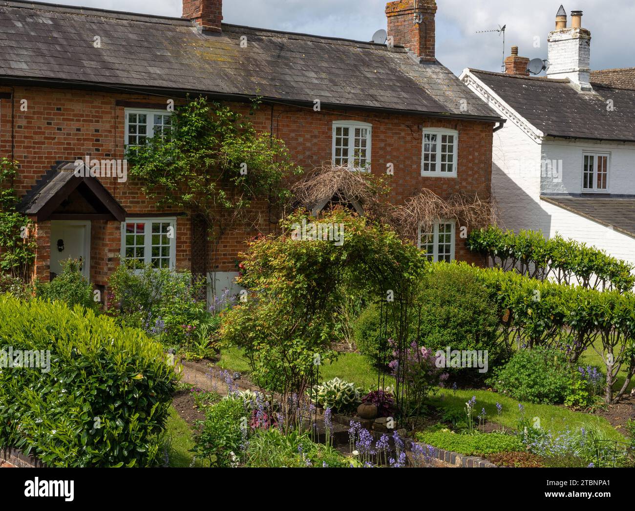 Fila di cottage terrazzati con giardini ben forniti, Abthorpe Village, Northamptonshire, Regno Unito Foto Stock