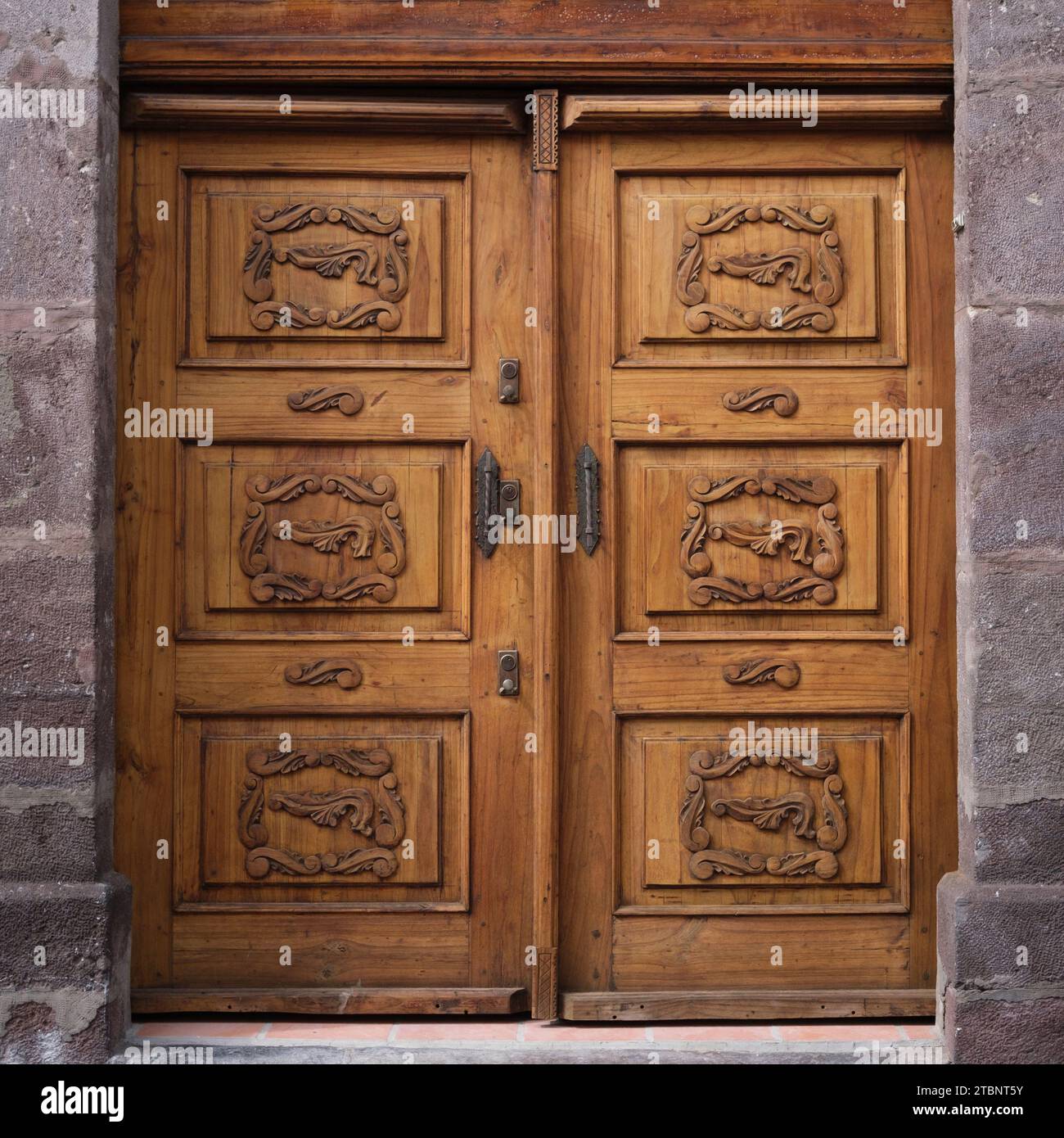 Vecchia porta di legno con intagli Foto Stock