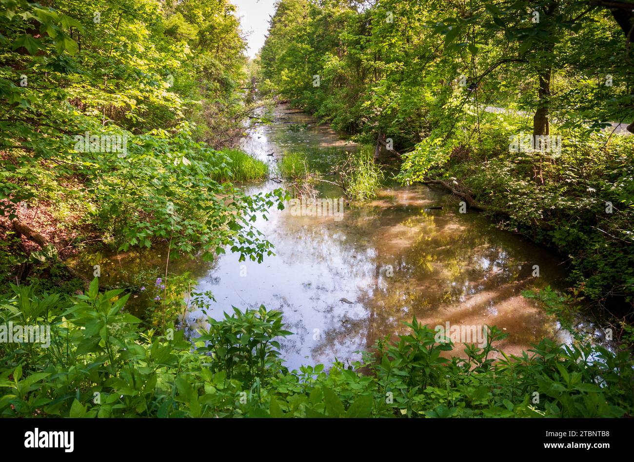 Il fiume Cuyahoga presso il Cuyahoga Valley National Park in Ohio Foto Stock