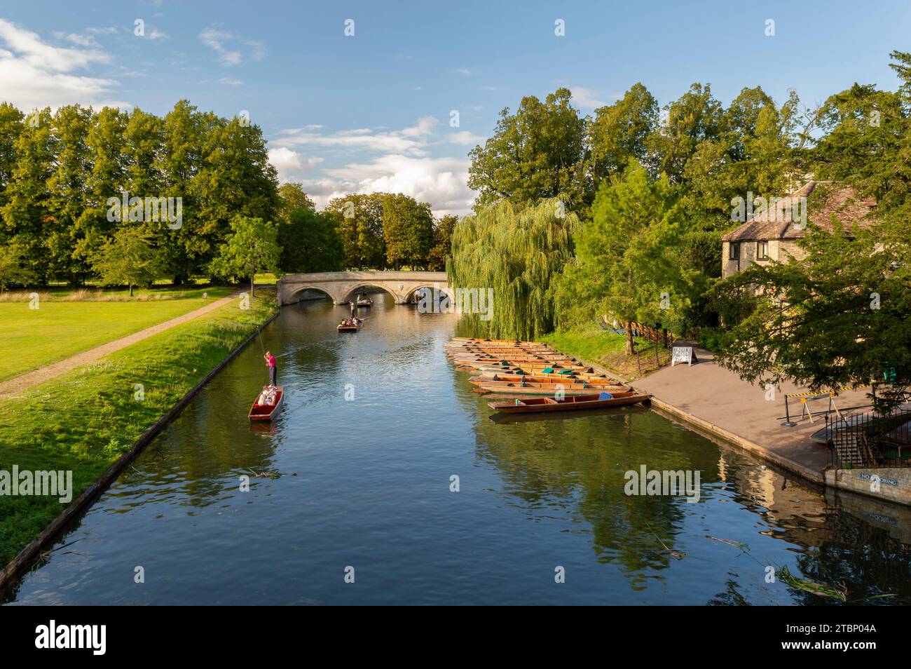Punting sul fiume Cam nella città universitaria di Cambridge, Cambridgeshire, Inghilterra. Autunno (settembre) 2023. Foto Stock