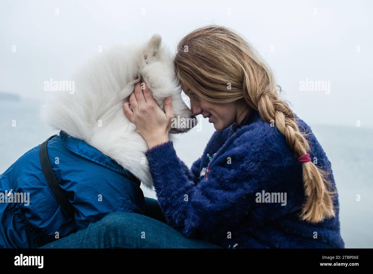 La ragazza cammina con un cane Samoyed bianco e soffice in natura Foto Stock