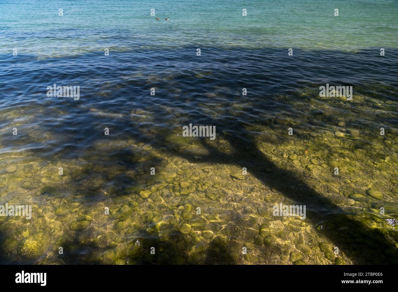 Spiaggia del prete (prete Beach) sul Lago di Garda (Lago di Garda) a Sirmione, provincia di Brescia, Lombardia, Italia © Wojciech Strozyk / Alamy Stock Phot Foto Stock