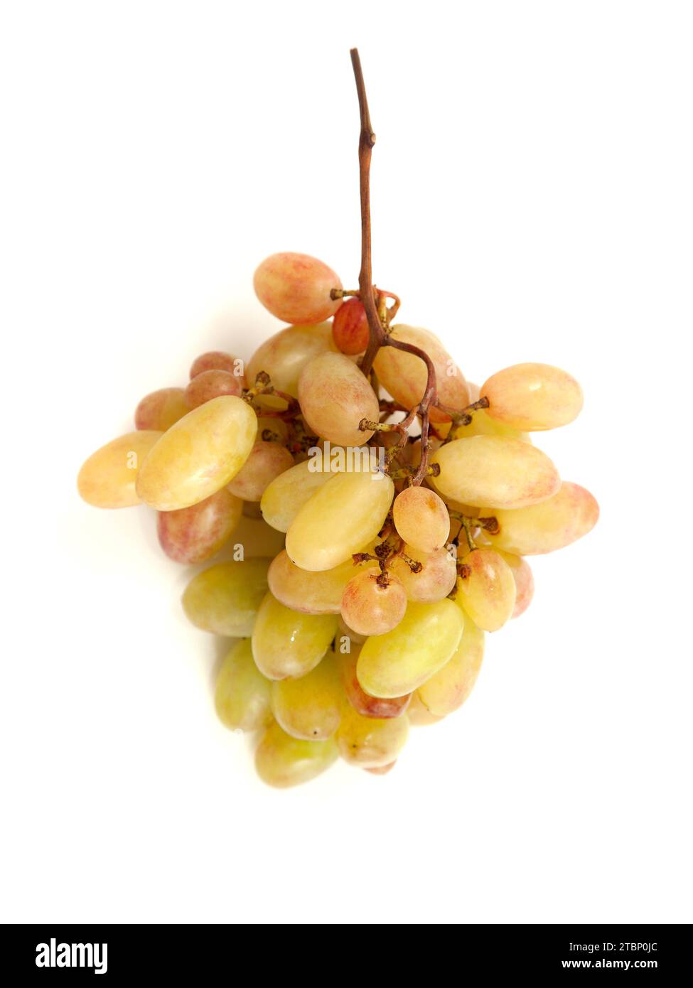 Grappolo di uva da vino rosa con ombra soffice isolata su fondo bianco. Foto Stock