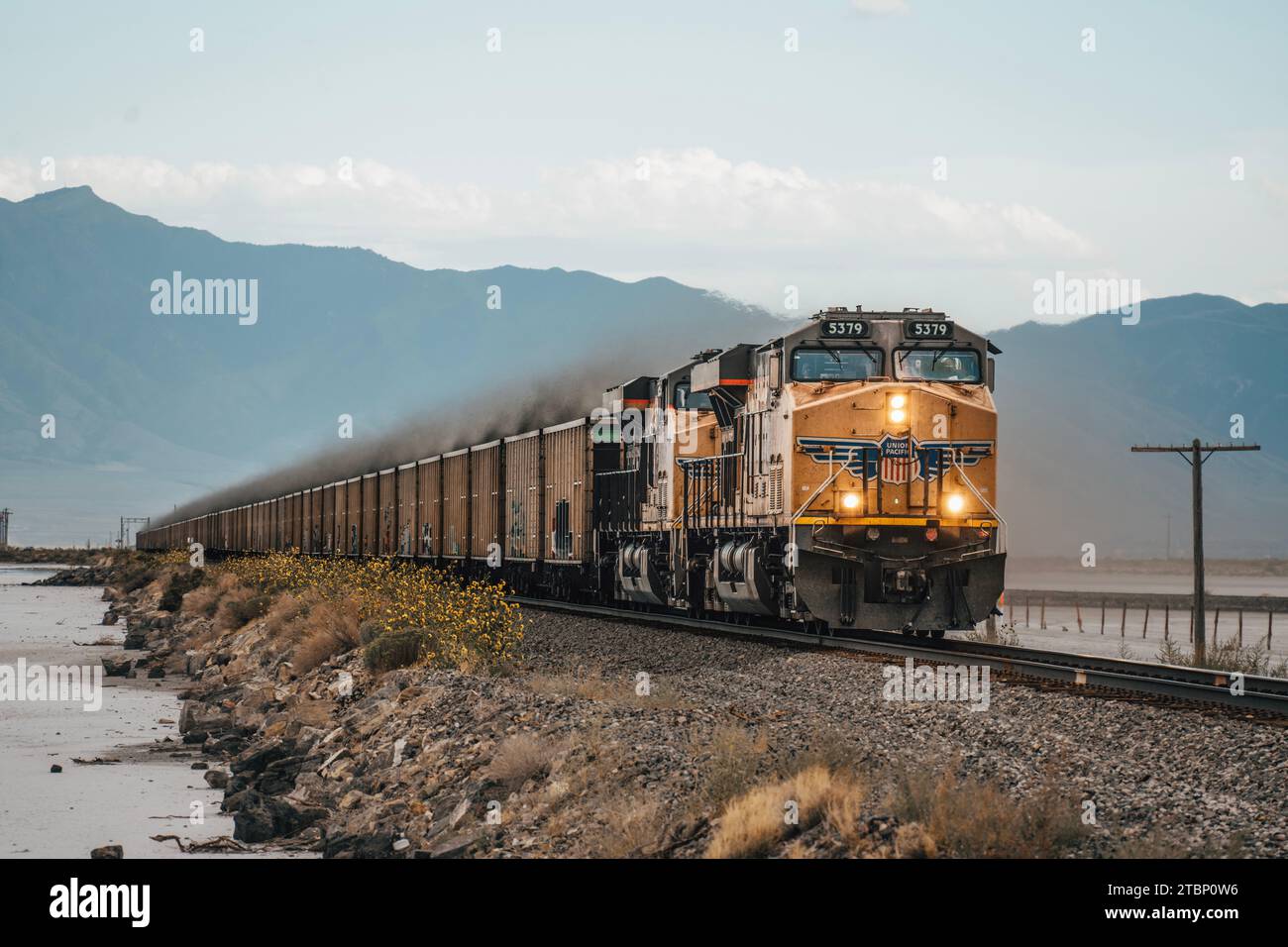 Treno giallo ad alta velocità con High Mountains sullo sfondo Foto Stock