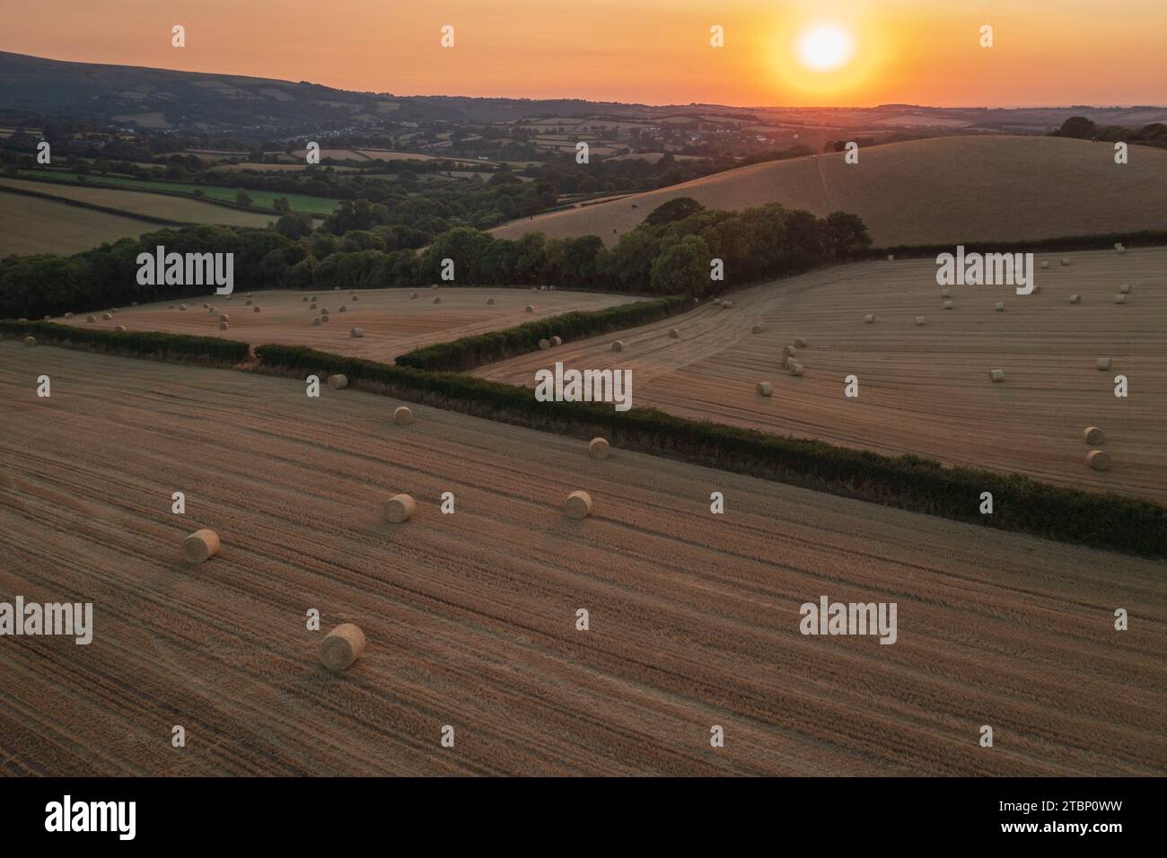 Balle di paglia nella campagna di Dartmoor al tramonto, Devon, Inghilterra. Estate (agosto) 2022. Foto Stock