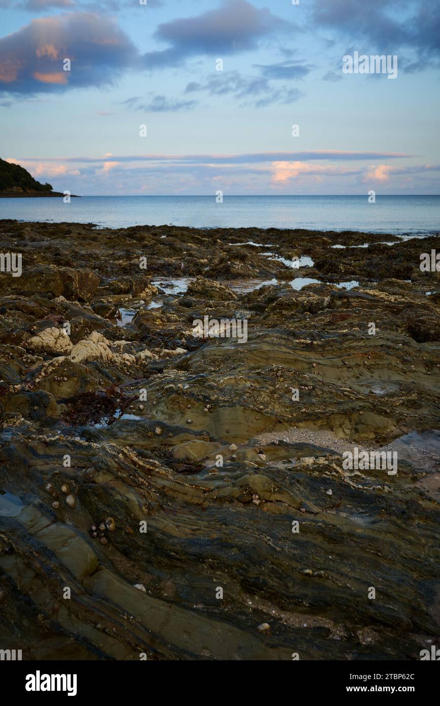 Le piscine rocciose di Castle Beach, Falmouth Foto Stock