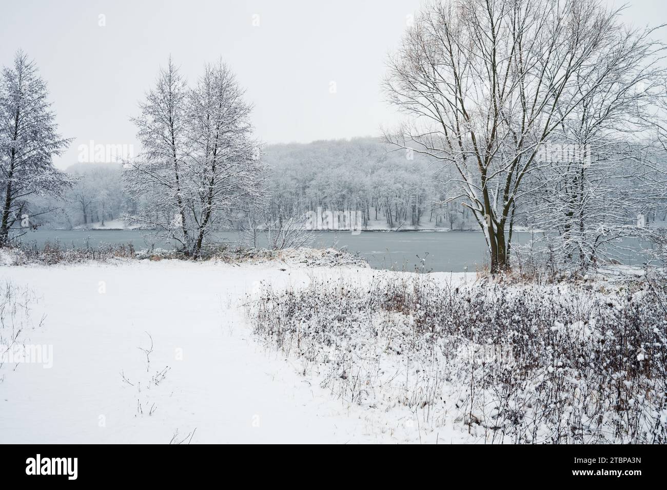 Sentiero di trekking invernale sulla neve al fiume ghiacciato con foresta sulla riva. Nessuno Foto Stock