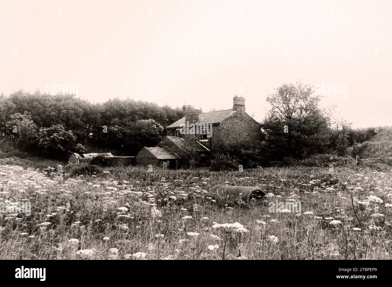 Belmont Junction Cottages [1990's] - Leamside Line Belmont, County Durham Foto Stock