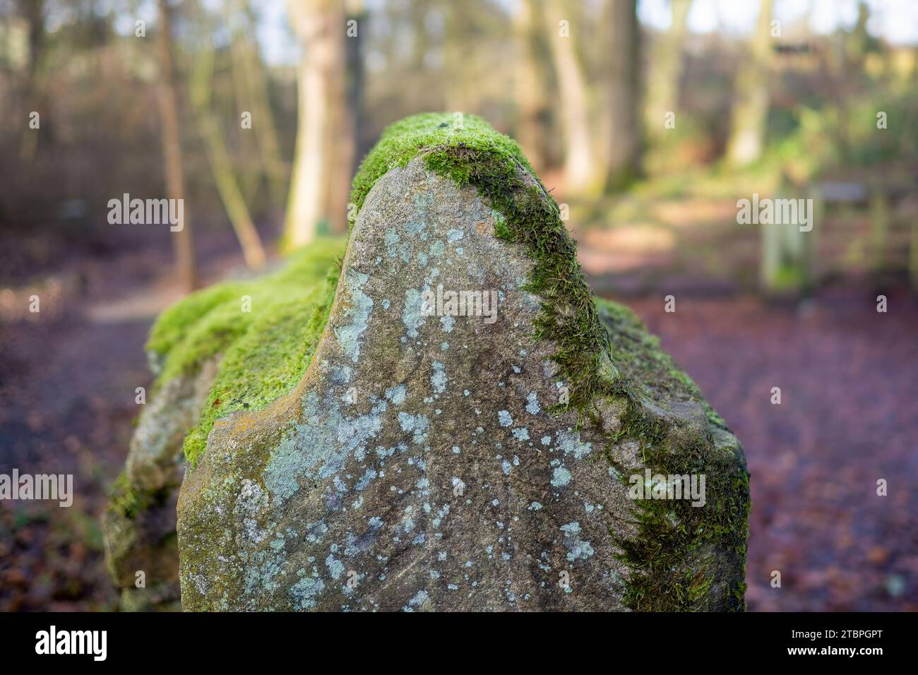 06.12.2023 Entwistle, Bolton, Lancashire, Regno Unito. Sul lato occidentale del serbatoio, Bradshaw Brook è attraversato dal viadotto Armsgrove di 120 piedi (37 m) Foto Stock