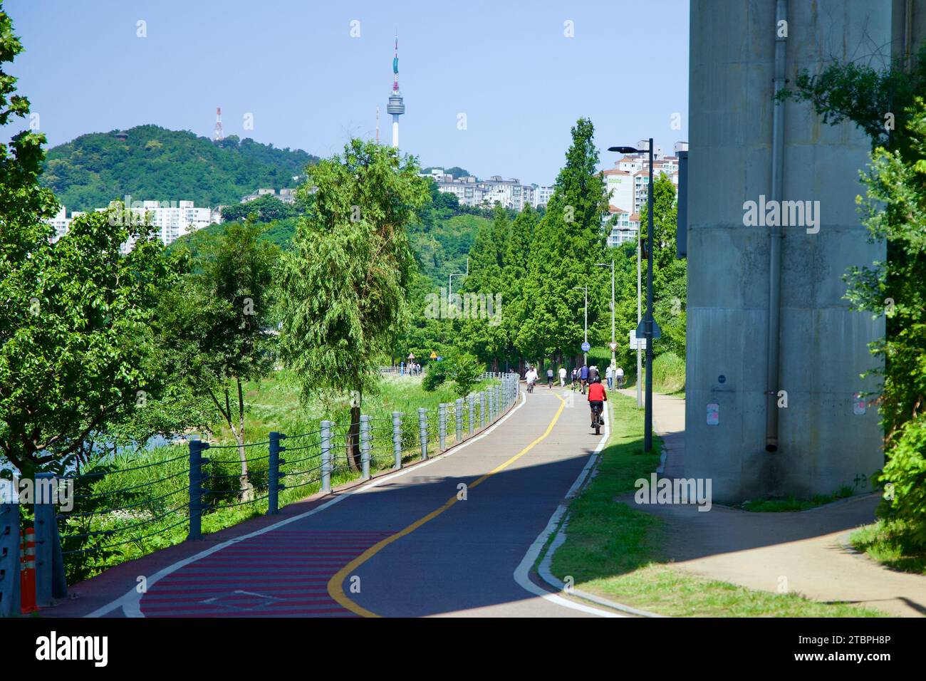 Il Ttukseom Hangang Park di Seoul offre una rinfrescante fuga urbana con i suoi chilometri di percorsi ciclistici e pedonali splendidamente mantenuti. Allineato accanto Foto Stock