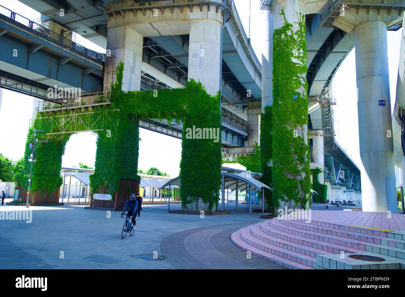 Sotto l'ampio ponte del complesso culturale J-Bug nel Parco Ttukseom Hangang, Seoul, un vibrante cortile prende vita. L'ombra della struttura Foto Stock