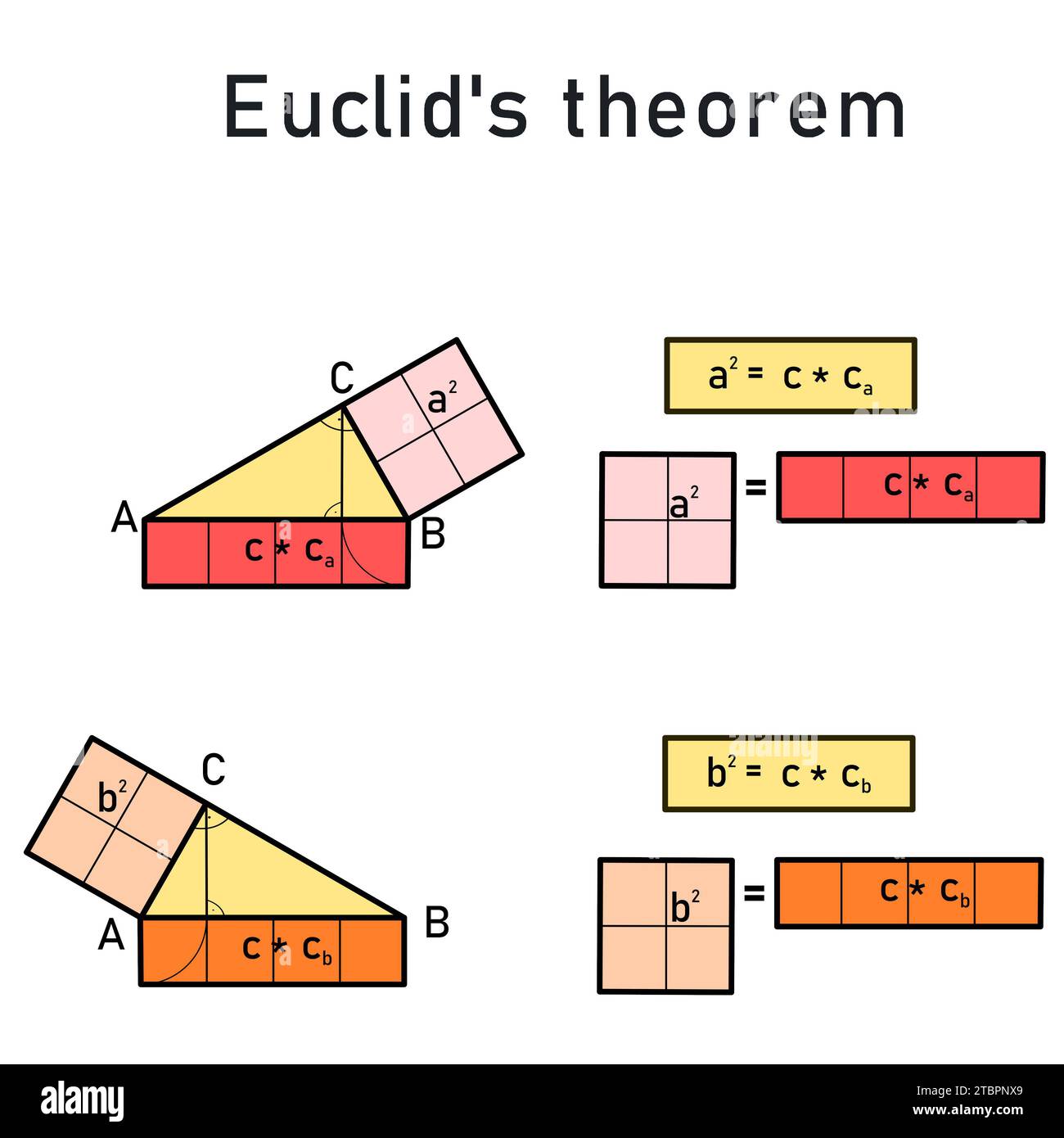 Il teorema di Euclide sulla perpendicolarità di un triangolo destro Foto Stock
