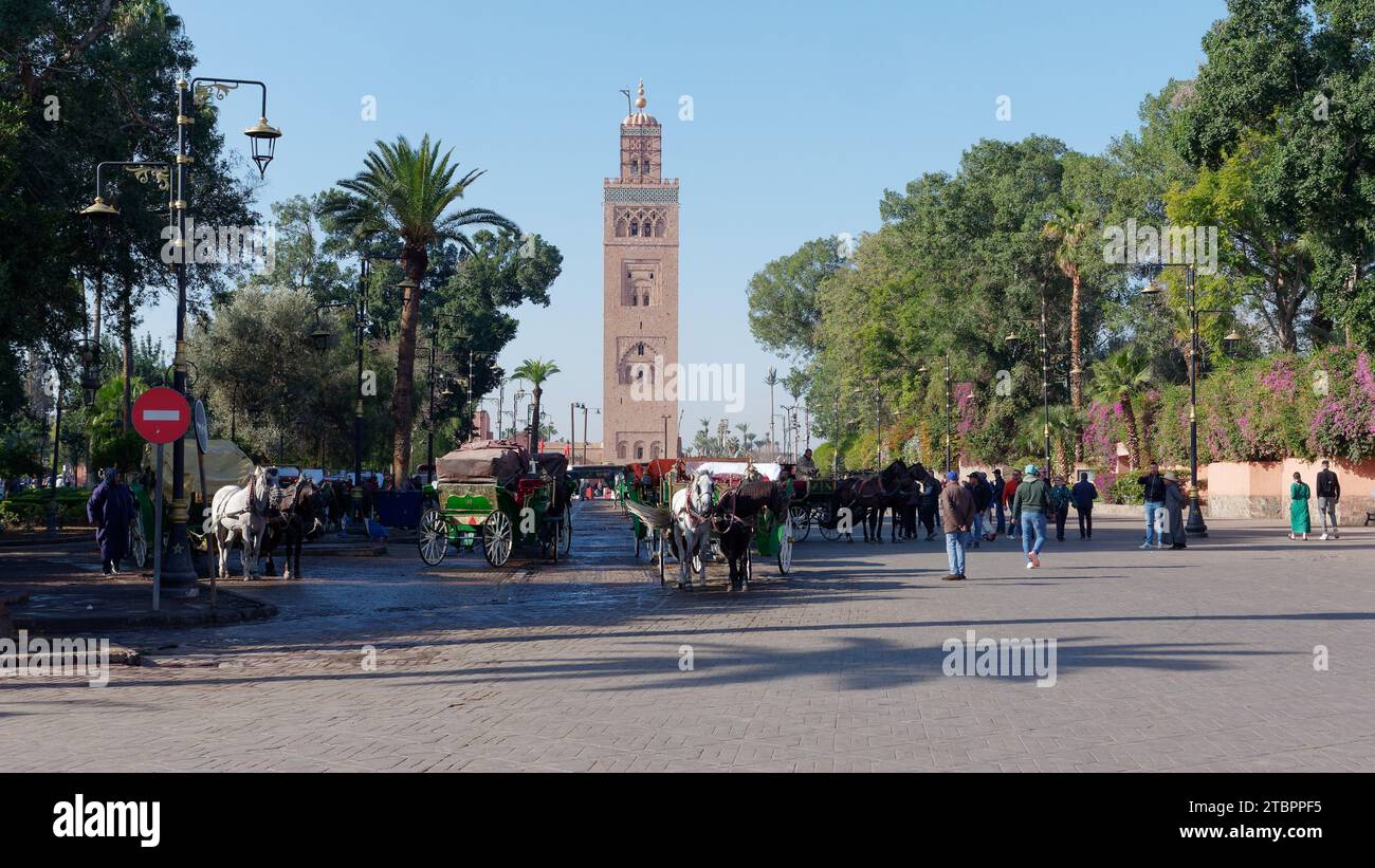 Moschea di Koutoubia con cavalli e carrozze di fronte e circondata da alberi lussureggianti a Marrakech, in Marocco, 8 dicembre 2023 Foto Stock
