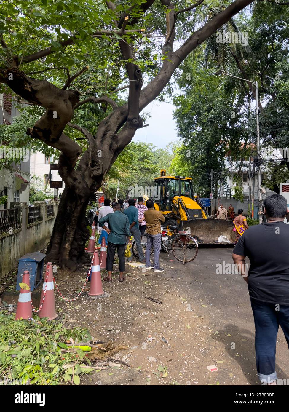 Chennai, Tamil Nadu, India - 05 dicembre 2023: I lavoratori della Greater Chennai Corporation liberano i detriti dall'albero caduto a causa dell'effetto del seve Foto Stock