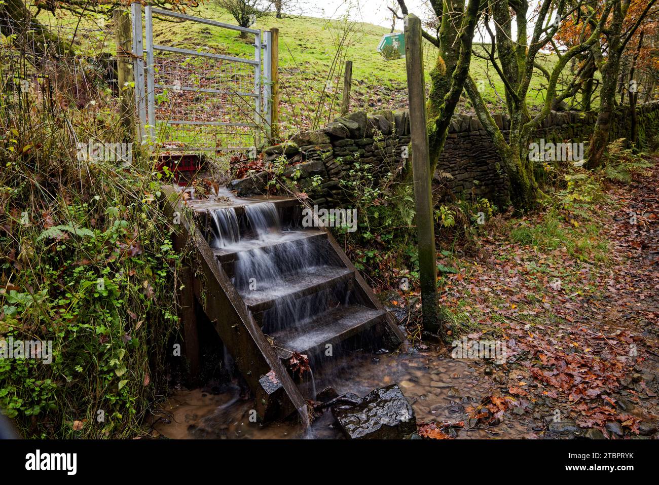 Cascata di acqua giù per gradini di legno dopo la tempesta Foto Stock