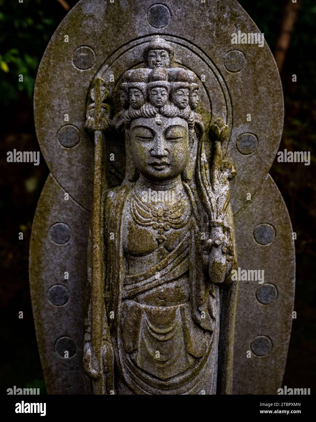 Una dea buddista Kanon della Misericordia Bodhisattva al Tempio Hasadera a Kamakura, Giappone Foto Stock