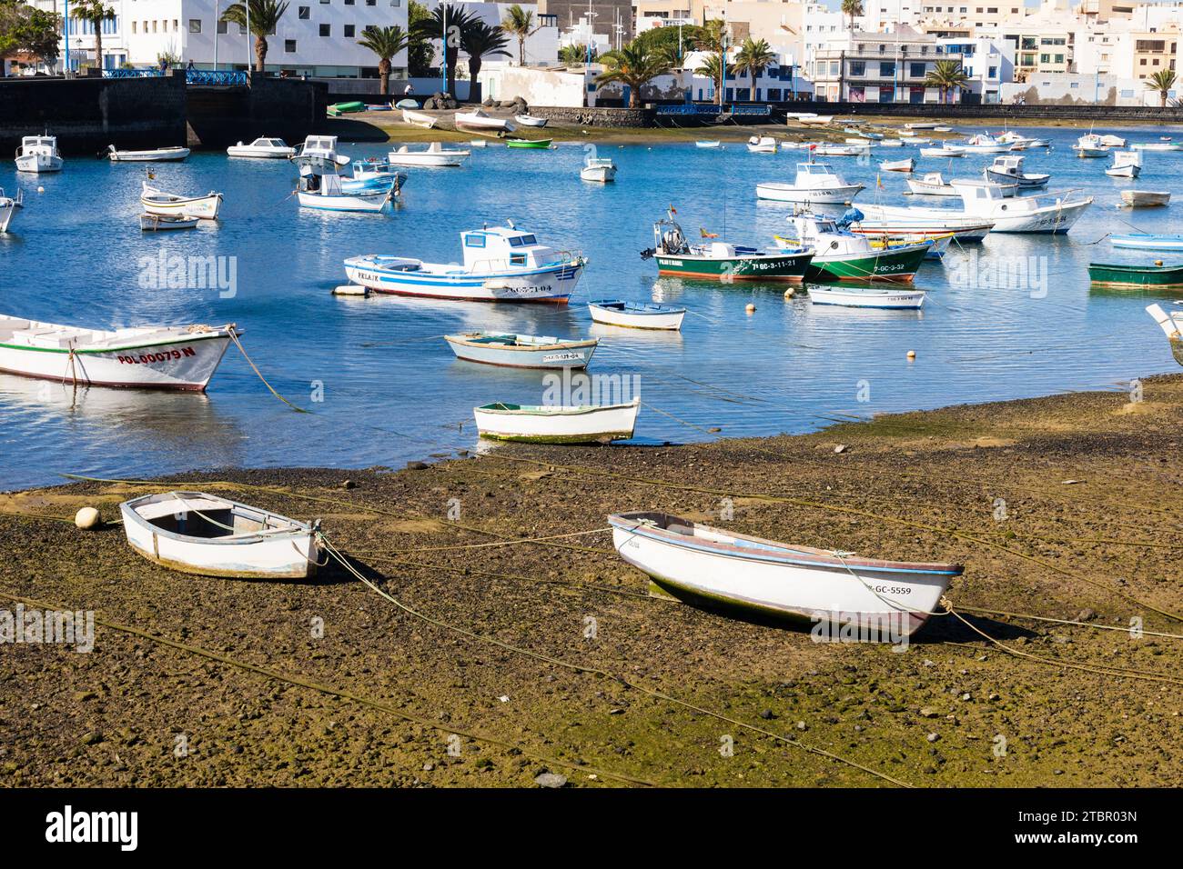 Barche a Tidal Marina San Gines, Arrecife, Lanzarote, Las Palmas, Spagna Foto Stock