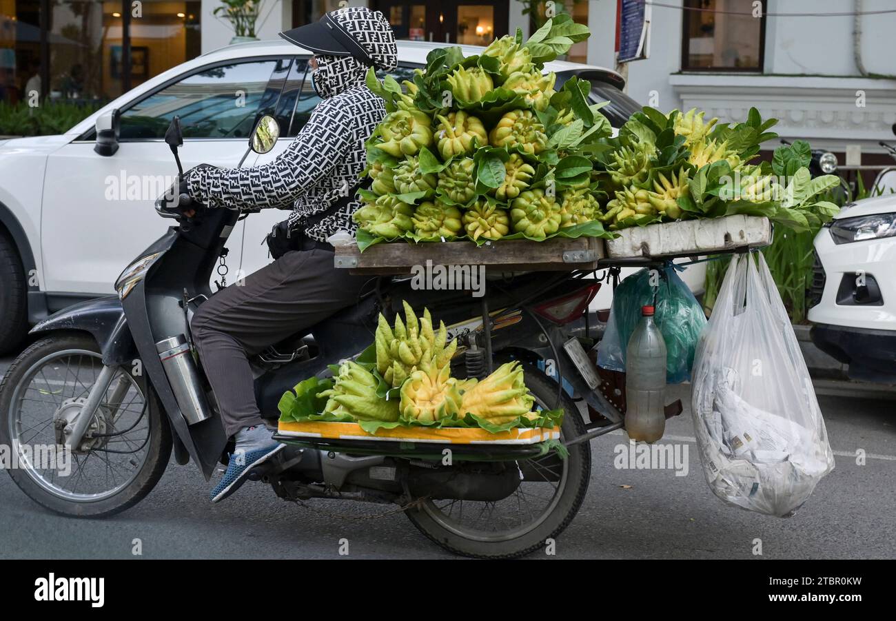 VIETNAM, città di Hanoi, venditore di strada, trasporto di frutta drago con due ruote / Straßenverkäufer, Transport von Drachenfrüchten per Motorroller Foto Stock