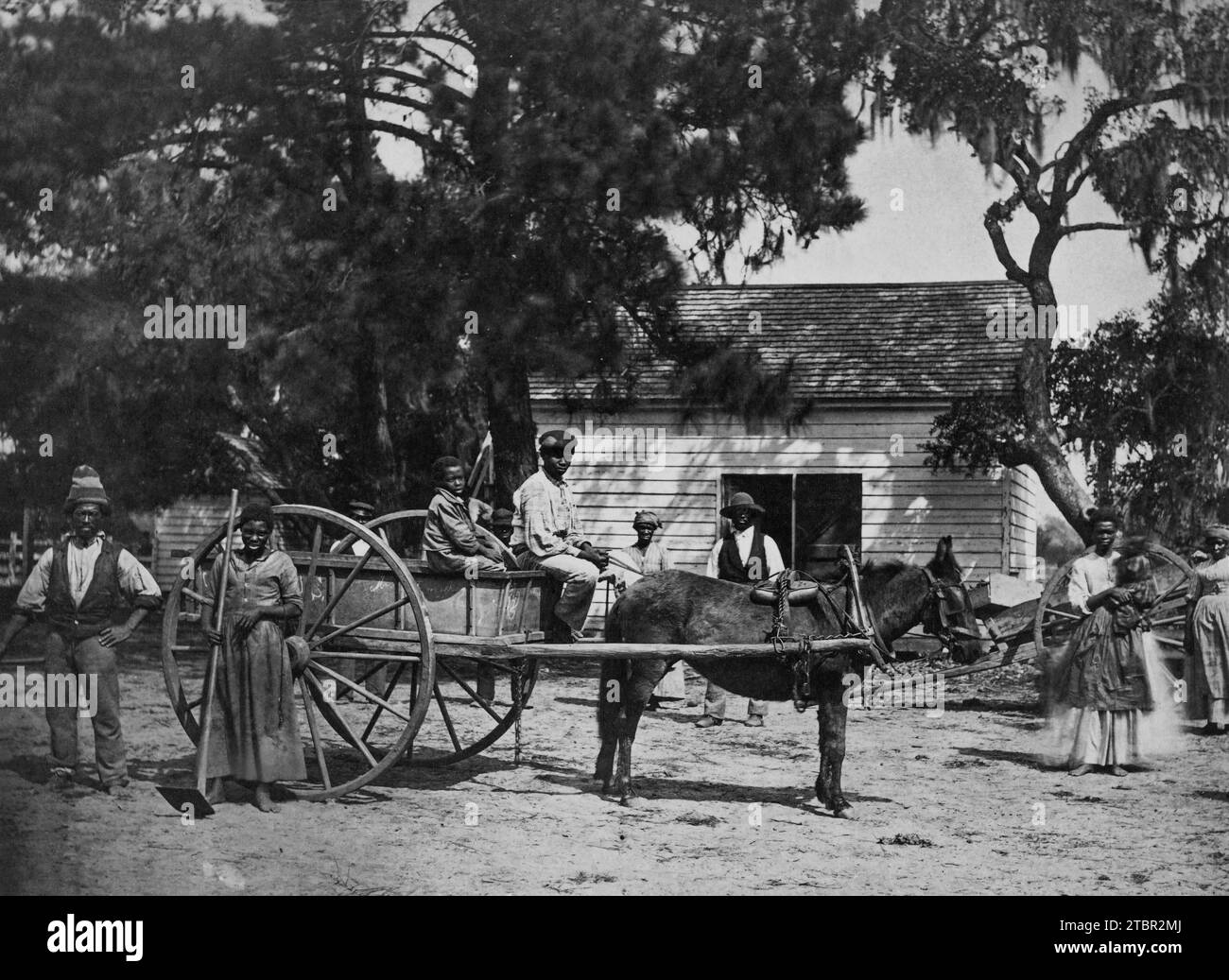 La foto mostra un gruppo di schiavi #Africanamericani posati intorno a un carro trainato da cavalli, con un edificio sullo sfondo, nella piantagione di Cassina Point di Foto Stock