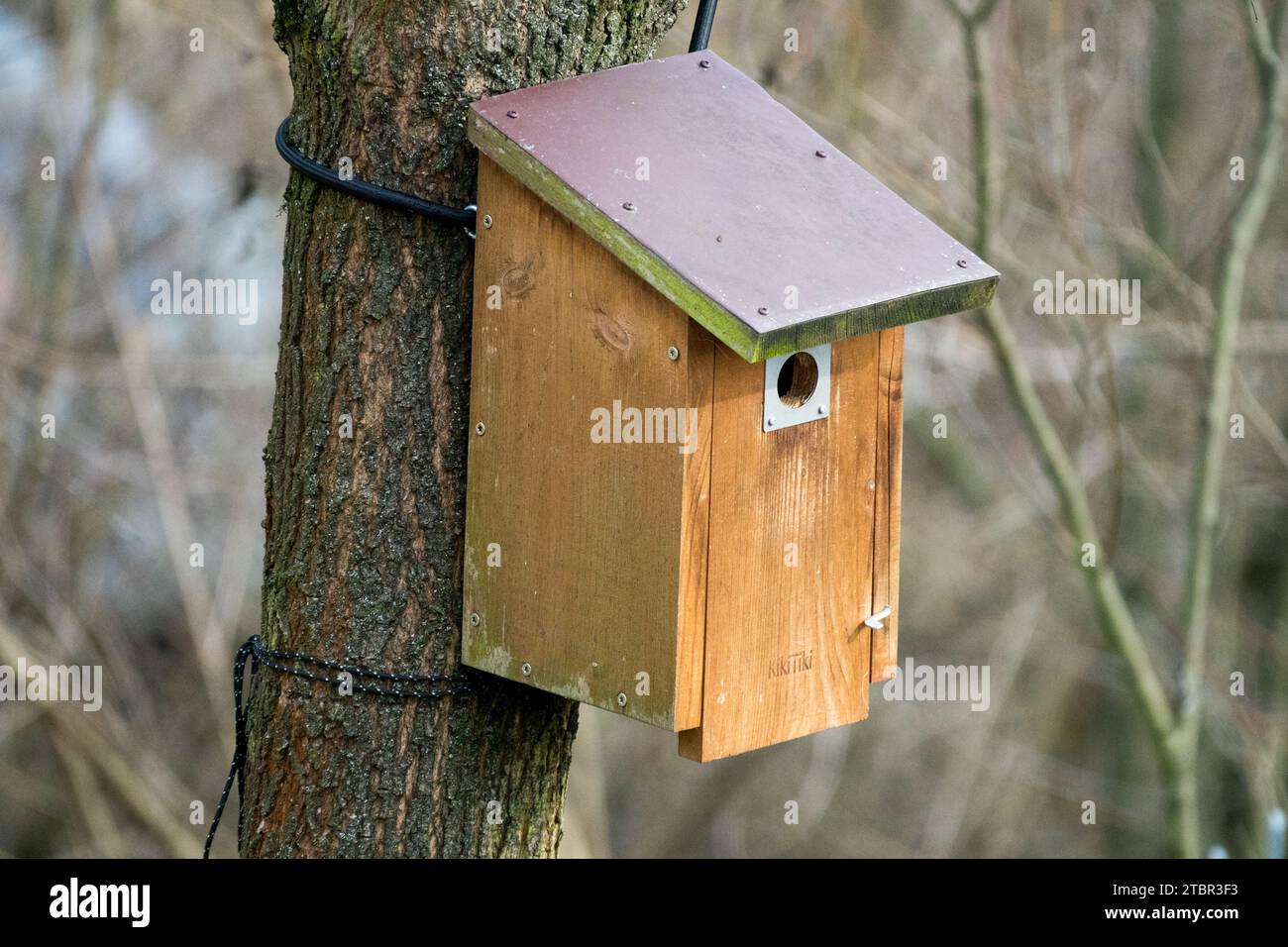 Birdhouse in Giardino febbraio Birdhouse Birdhouse in legno Birdhouse Giardino Birdhouse invernale stagione invernale tronco albero Foto Stock