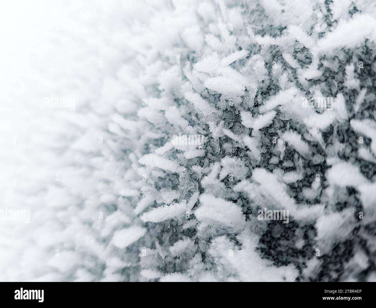 Primo piano di cristalli di gelo sul finestrino di un'auto. Foto Stock
