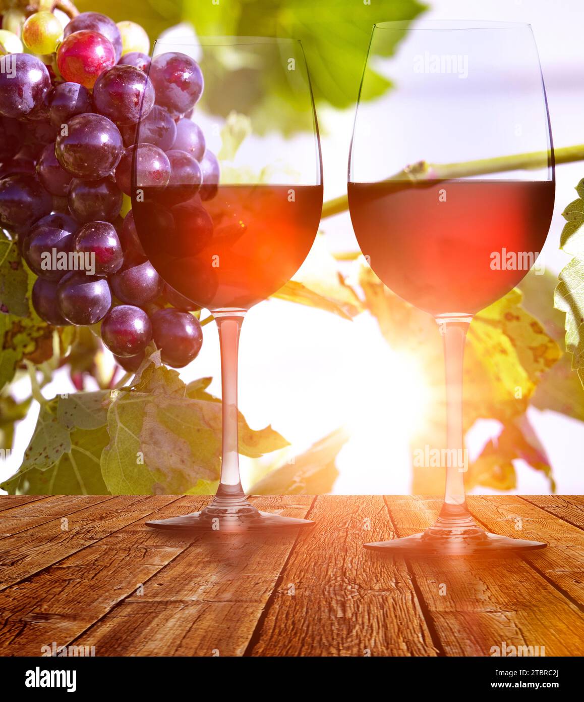 Uva sulla vite con bicchiere di vino rosso contro la luce Foto Stock